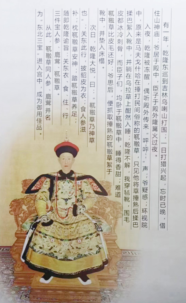 图片7.jpg